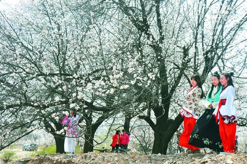 bszb123比赛直播app苹果版界面截图